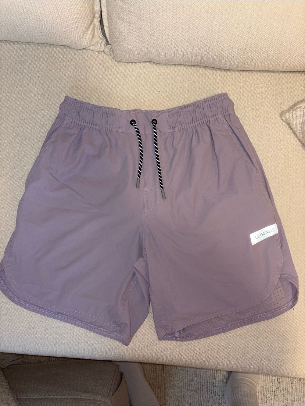 Men's LEGENDS Lavender Active Shorts